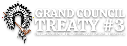 Treaty 3